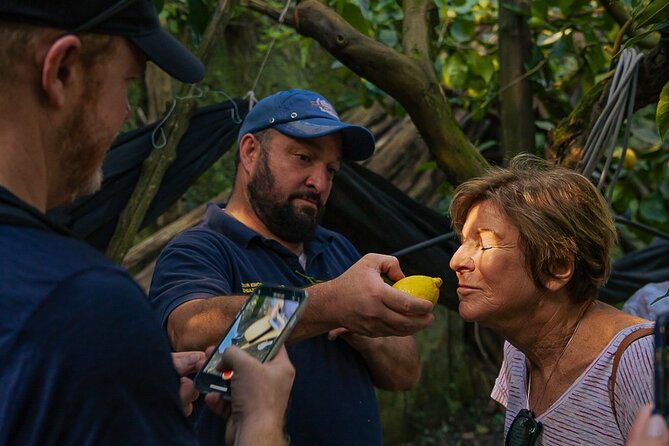 Sorrento Ape Tour, Lemon Garden, Mozzarella Show & Pizza Class - A Food-Focused Way to See Sorrento’s Countryside