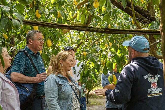 Sorrento Ape Tour, Lemon Garden, Mozzarella Show & Pizza Class - Making Your Own Neapolitan Pizza