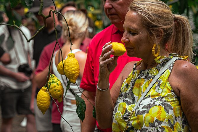 Sorrento Ape Tour, Lemon Garden, Mozzarella Show & Pizza Class - Riding the Ape Calessino to Il Turuziello