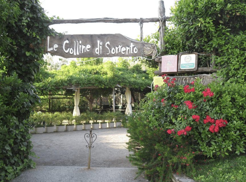 Sorrento: Lemon Garden Guided Tour with Tastings - A quick escape from Sorrento’s center