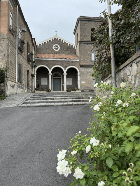 Sorrento: Lemon Garden Guided Tour with Tastings - Is $35 a fair price?
