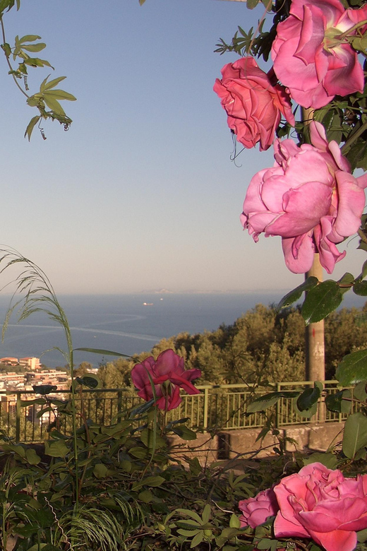 Sorrento: Walking Tour in Lemon Garden w/ Food Tasting - From Vallone dei Mulini to the Sorrento hills