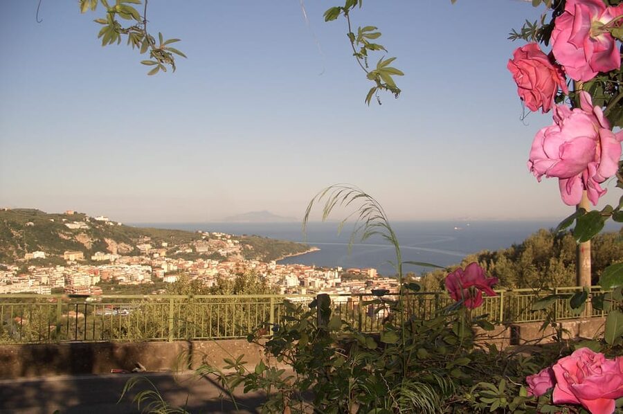 Sorrento: Walking Tour in Lemon Garden w/ Food Tasting - Limoncello, marmalade, and unusual homemade liqueurs