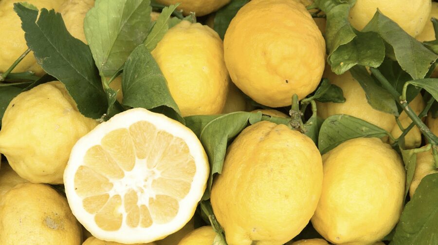 Sorrento: Walking Tour in Lemon Garden w/ Food Tasting - A fourth-generation farm with a personal story