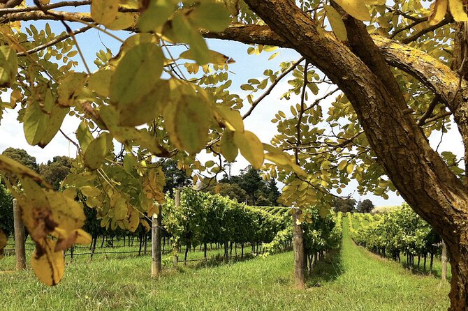 Southern Highlands Private Tour with Wine, Waterfall and Garden - Bowral Begins the Country Day
