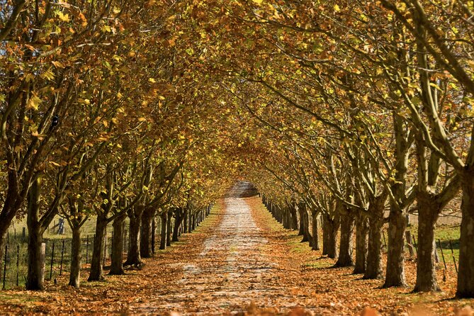 Southern Highlands Private Tour with Wine, Waterfall and Garden - Red Cow Farm Brings Garden Detail