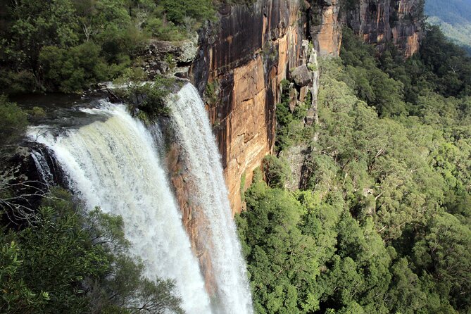 Southern Highlands Private Tour with Wine, Waterfall and Garden - Fitzroy Falls Gives You a Quick Nature Stop