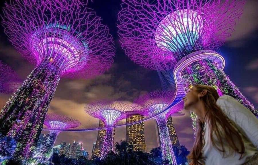 Spectra & Garden Rhapsody Shows with Singapore River Cruise - Why this night tour works for a short Singapore visit
