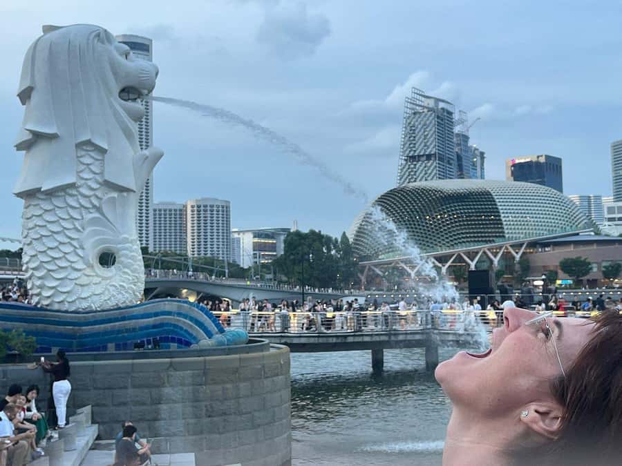 Spectra & Garden Rhapsody Shows with Singapore River Cruise - Starting with pickup and the ride across town