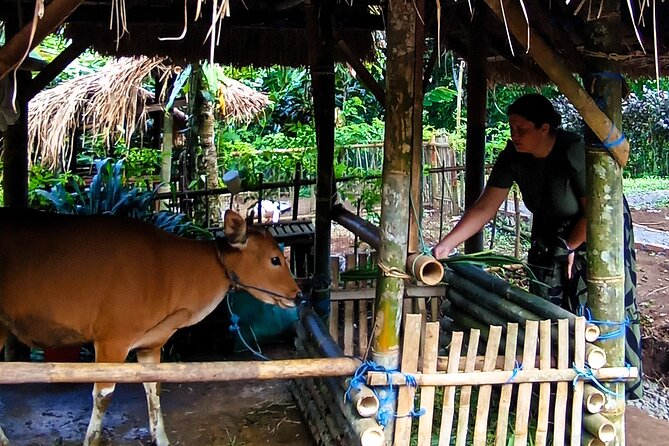 Spice Garden, Jamu & Cooking Class in Bali Village - Walking Through the Spice and Herb Garden