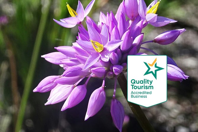 Spring Wildflower Private Day Tours - Five useful things to know before booking
