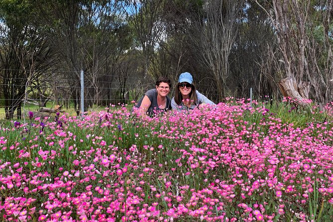 Spring Wildflower Private Day Tours - Why Perth is a fine base for wildflowers