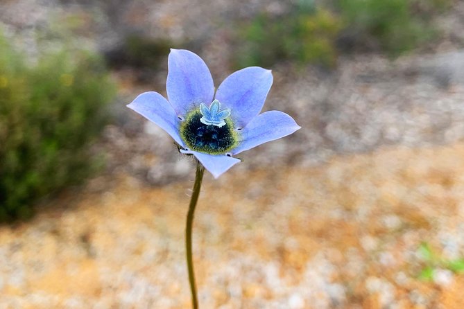 Spring Wildflower Private Day Tours - Chittering brings valleys and open views