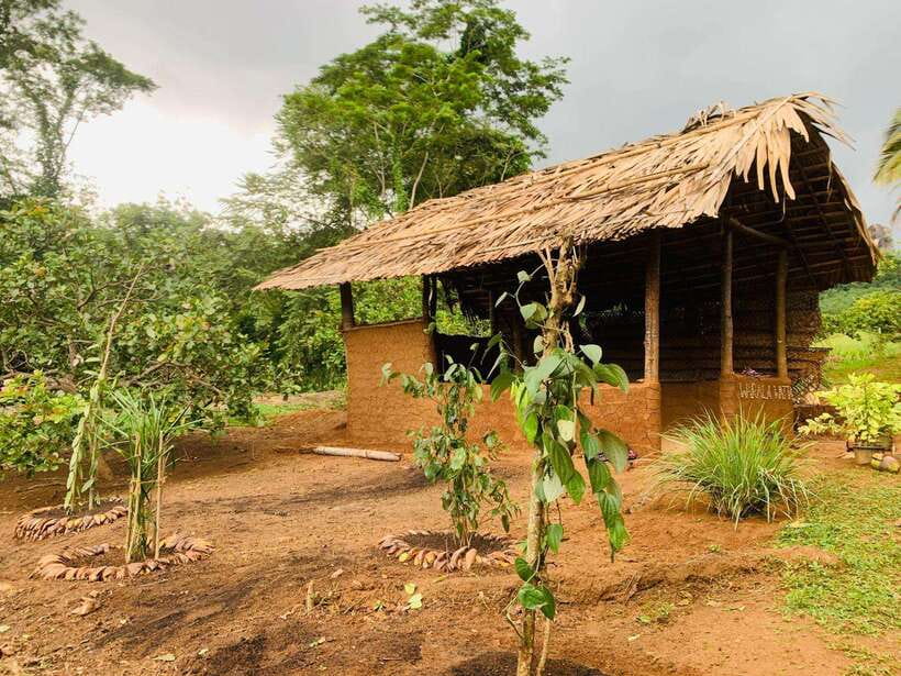 Sri Lanka: Ceylon Cinnamon Experience & Spice Garden Tour - Why the cinnamon lesson is the heart of the tour