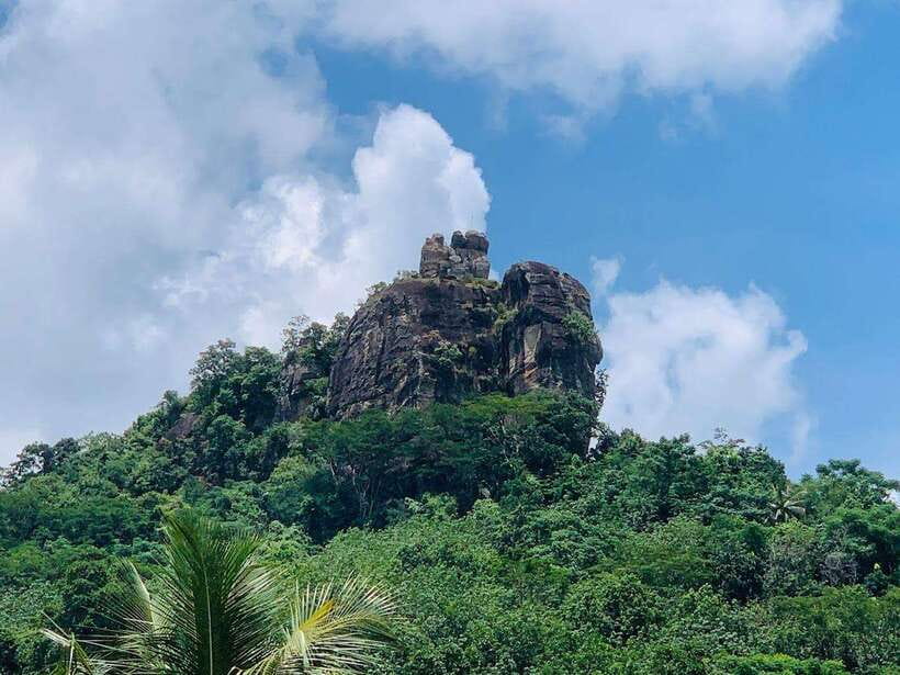 Sri Lanka: Ceylon Cinnamon Experience & Spice Garden Tour - What three hours feels like