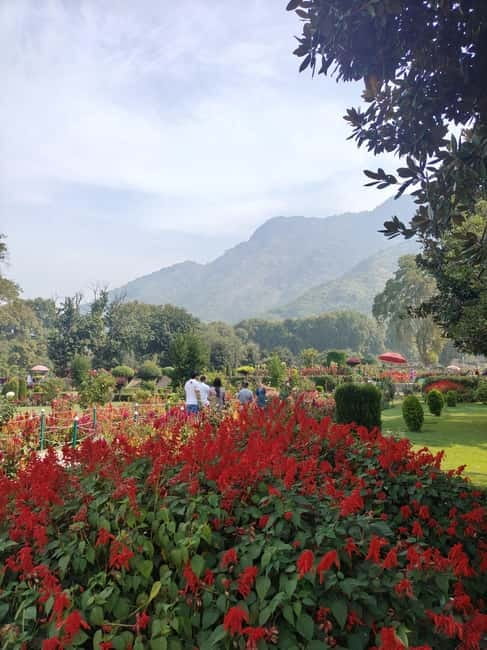 Srinagar: Private Old City and Mughal Gardens Guided Tour - Pari Mahal, Badamwari, and the changing plan