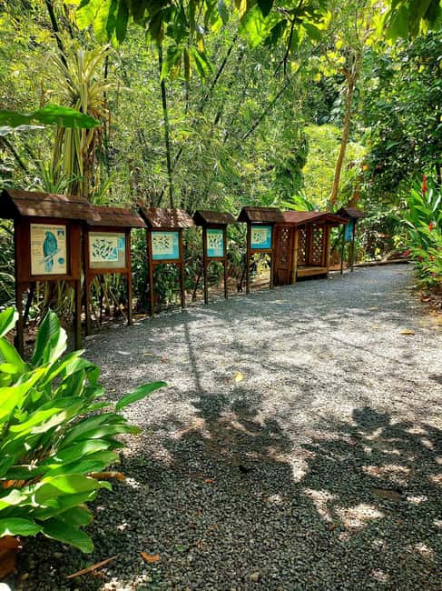 St. Lucia: Scenic Nature Hike & Botanical Garden Escape - Key points at a glance