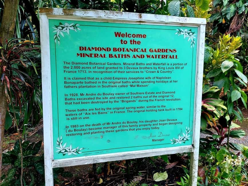 St. Lucia: Scenic Nature Hike & Botanical Garden Escape - Why this tour works for a day in southern St. Lucia