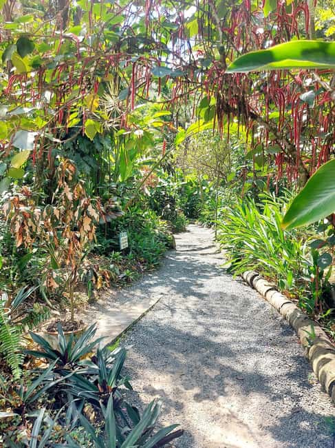 St. Lucia: Scenic Nature Hike & Botanical Garden Escape - Reaching Soufriere and seeing the Pitons