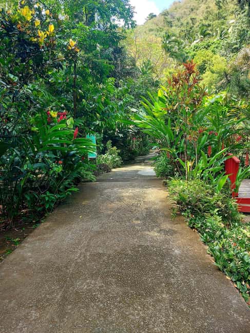 St. Lucia: Scenic Nature Hike & Botanical Garden Escape - What the $121 price really includes
