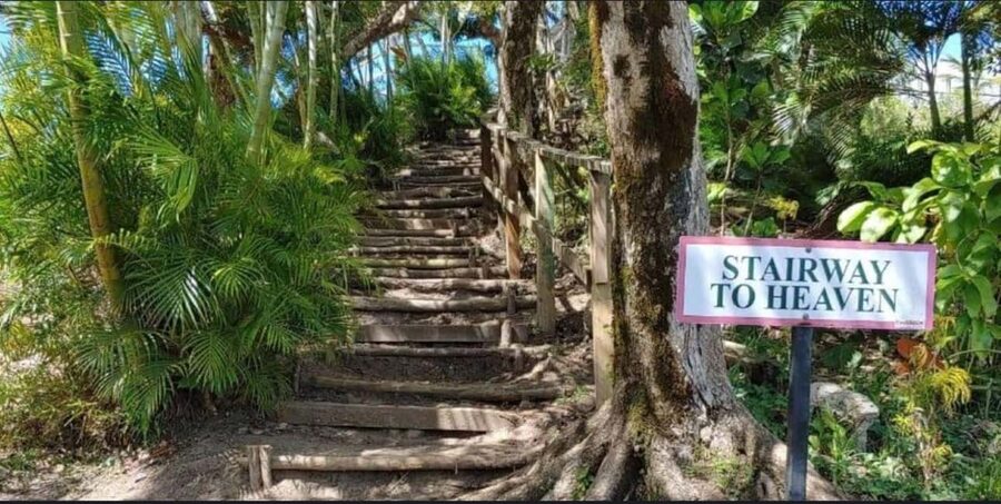 St. Lucia: Scenic Nature Hike & Botanical Garden Escape - Who should book this experience