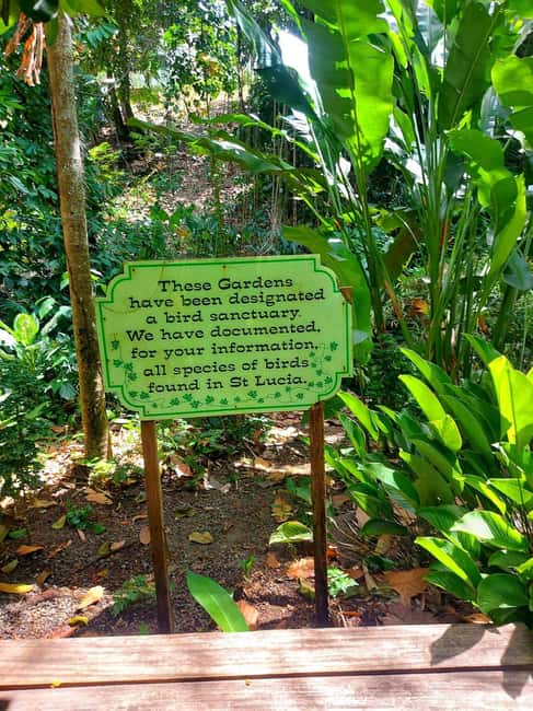 St. Lucia: Scenic Nature Hike & Botanical Garden Escape - Final verdict: a strong private day for scenery and plants