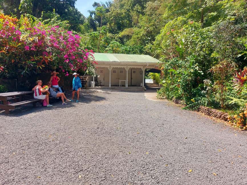 St. Lucia: Scenic Nature Hike & Botanical Garden Escape - The west coast drive through Roseau, Anse La Raye, and Canaries