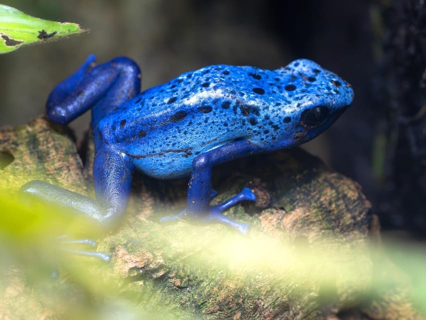 Stuttgart: Wilhelma Zoological-Botanical Garden Ticket - Is the $26 ticket good value?