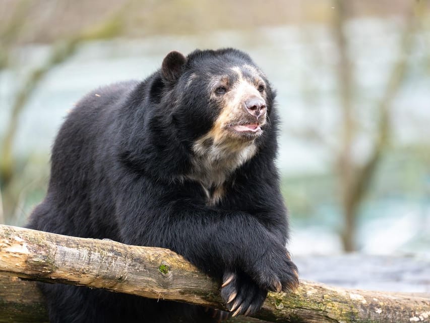 Stuttgart: Wilhelma Zoological-Botanical Garden Ticket - Education, conservation, and interactive displays