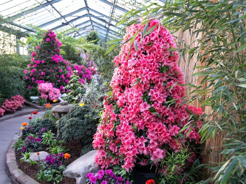 Stuttgart: Wilhelma Zoological-Botanical Garden Ticket - How long should you spend at Wilhelma?