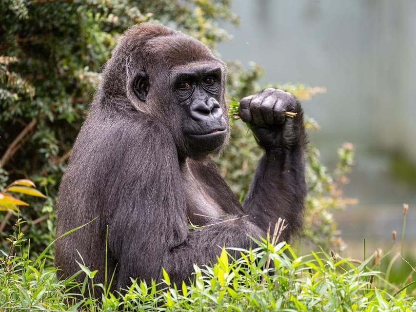 Stuttgart: Wilhelma Zoological-Botanical Garden Ticket - Start in the Moorish Garden