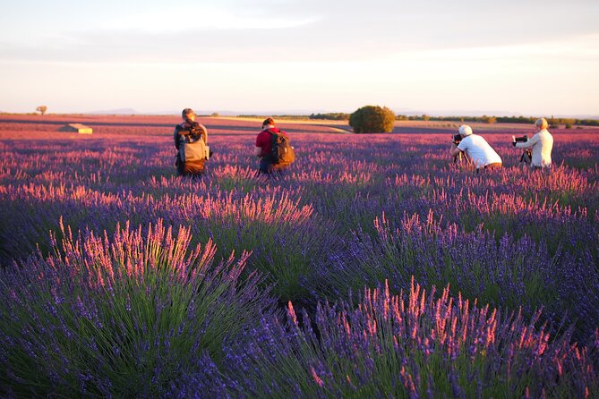 Sunset Lavender Tour from Aix-en-Provence - Key things to know before booking