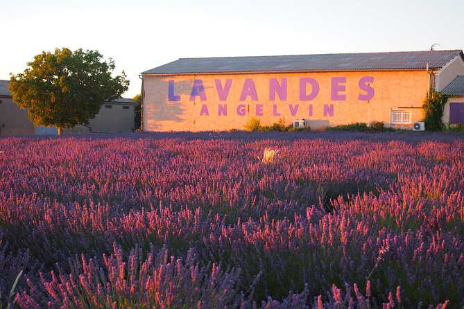 Sunset Lavender Tour from Aix-en-Provence - Leaving Aix at 4:00 pm