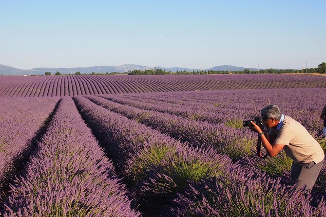Sunset Lavender Tour in Valensole with pickup from Marseille - Who Should Book This Tour?
