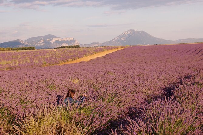 Sunset Lavender Tour in Valensole with pickup from Marseille - Leaving Marseille at 3:15 pm