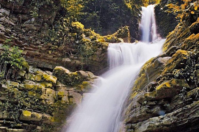 Surrealist Garden of Edward James, Castle of Health and Xilitla Nativity - Why Las Pozas is worth the long day