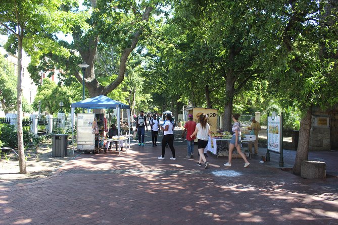 Table Mountain Cape Town City Tour Kirstenbosch Gardens +Tickets - Why the guide matters on this route