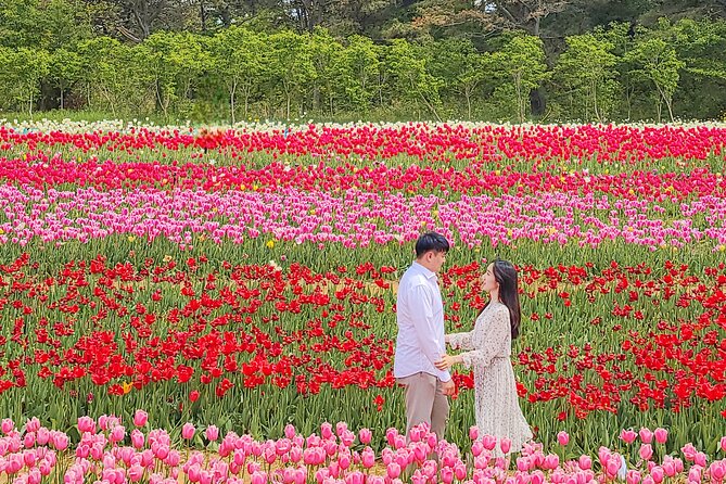 Taean Tulip Festival and Strawberry Picking Day Tour from Seoul - What makes this day tour worth considering