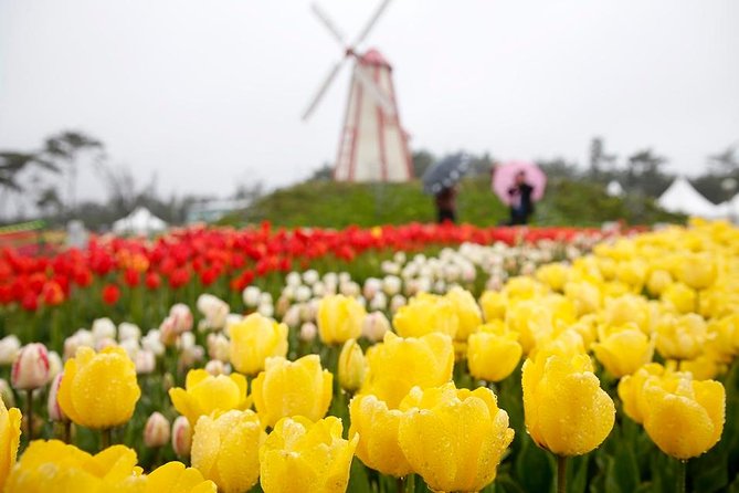 Taean Tulip Festival and Strawberry Picking Day Tour from Seoul - Who will enjoy this seasonal outing