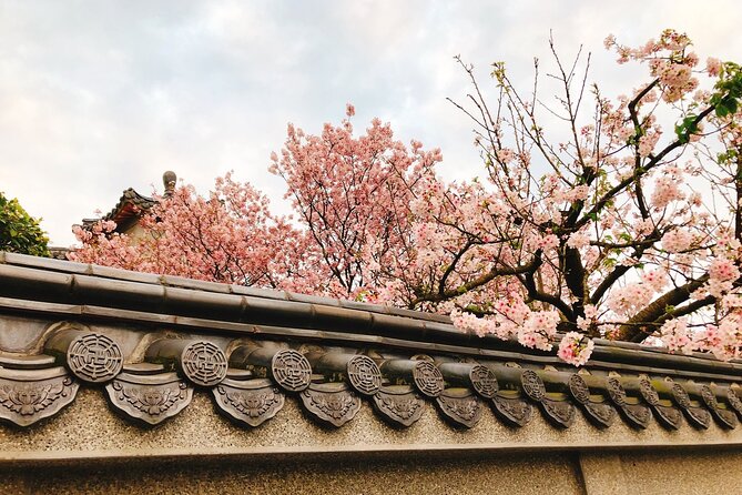 Taipei Cherry Blossom Day Tour to Yangmingshan and Tamsui - Why this cherry blossom day works