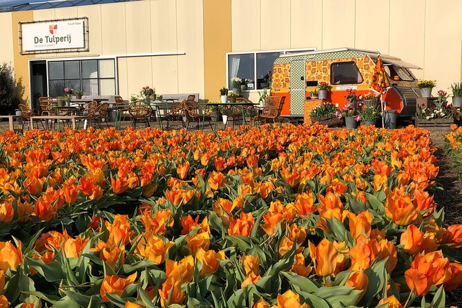 Taking Pictures in the Tulip Field at De Tulperij - What the De Tulperij visit is really about