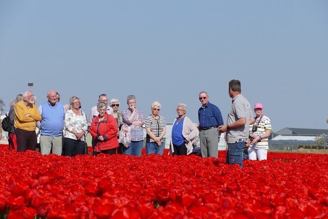 Taking Pictures in the Tulip Field at De Tulperij - Getting to Oude Herenweg 16B