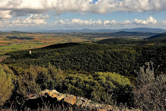 Tarot Garden and Maremma Park - The four-course lunch is part of the experience