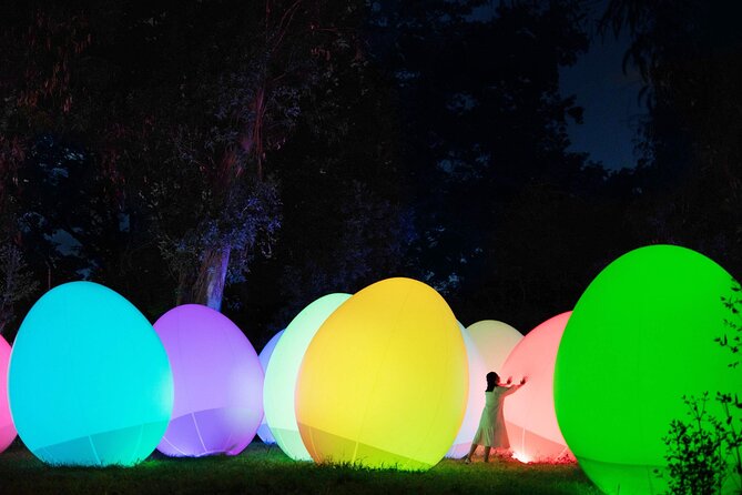 TeamLab Botanical Garden Osaka Ticket - What teamLab Botanical Garden Osaka actually is