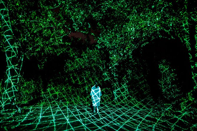 TeamLab Botanical Garden Osaka Ticket - Is $28 a fair price?