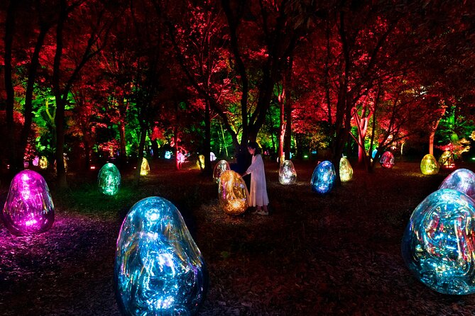 TeamLab Botanical Garden Osaka Ticket - The glowing cypress forest