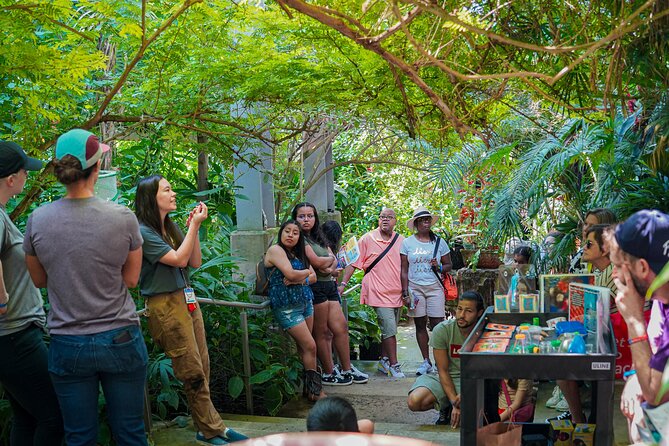Texas Discovery Gardens General Admission - Key Things to Know Before You Go