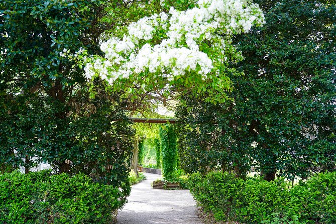 Texas Discovery Gardens General Admission - Trains Through Texas Towns