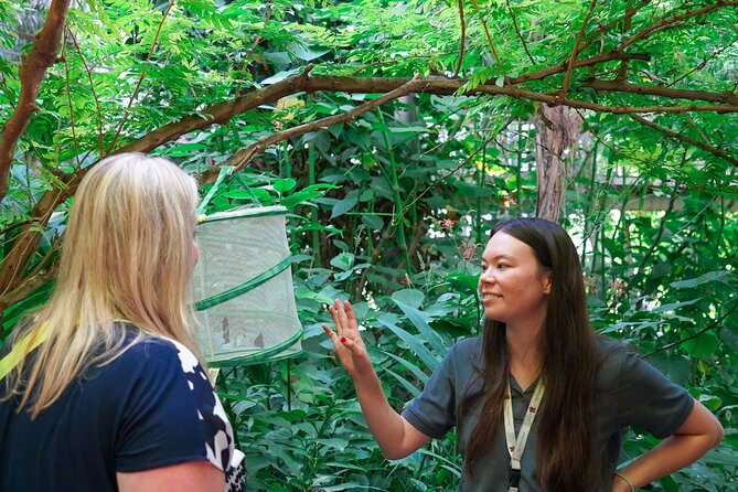 Texas Discovery Gardens General Admission - Snakes, Reptiles, and the Insectarium