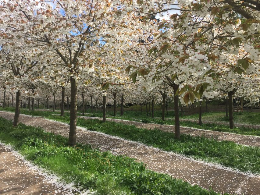 The Alnwick Garden: Entry Ticket - Key points at a glance